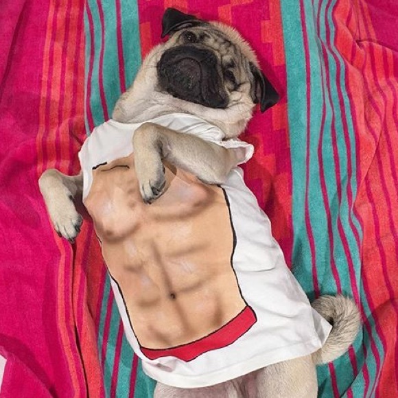 Profile Picture of Amidy Mego (@ameg) on Poshmark