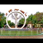 Profile Picture of Joseph Malfare (@josephmalfare) on Instagram