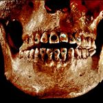 Profile Picture of Michael O’Neal (@schmichael_oschmeal) on Instagram