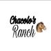 Profile Picture of Chacolos Ranch (@mariam.gonzalez.1276487) on Facebook