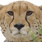 Profile Picture of Neil Stratton (@neil.stratton.77) on Instagram