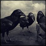 Profile Picture of Ian Cooper (@murderofcrows253) on Instagram