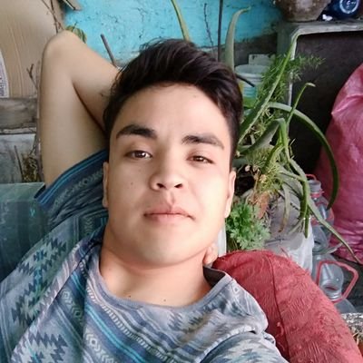 Profile Picture of Felipe Esteban Jara Verdugo (@FelipeEstebanJ1) on Twitter