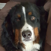 Profile Picture of Gary Meyer (@garymeyer8305) on Youtube