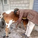 Profile Picture of Kifull Muthui (@kifull.muthui.7) on Facebook