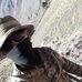 Profile Picture of Aaron Abrego (@aaron.abrego.144) on Facebook