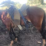 Profile Picture of Emeterio Rodríguez (@emeterio.rodriguez.7965) on Facebook