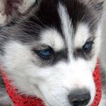 Profile Picture of Cody (@pursercody) on Instagram