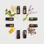 Cindy Champagne -  doTERRA - Instagram Profile Picture of Cindy Champagne -  doTERRA (@cindychampagne_doterra) on Instagram