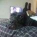 Profile Picture of Lisa Booth (@lisa.booth.121) on Facebook