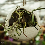 Profile Picture of Terry Wong (@terrywong3) on Flickr