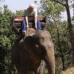 Profile Picture of Larry Schmier (@larry schmier #3 old ) on Flickr