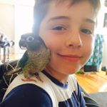 Profile Picture of Marcus Starling (@marcus.starling) on Instagram