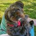 Profile Picture of Dobbie Otis (@dobbie.otis.1) on Facebook