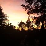 Profile Picture of Tony Duncan (@anthony20098) on Instagram