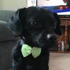 Profile Picture of Glenntow52 (@@glenntow52) on Tiktok