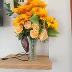 Profile Picture of Skipper Joshua (@Skipper-Joshua) on Facebook