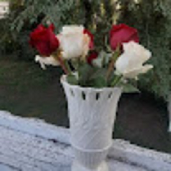 Profile Picture of Jill Benevento (@jbenevento895) on Poshmark