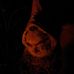 Profile Picture of Joe Olmstead (@joe.olmstead.16) on Facebook