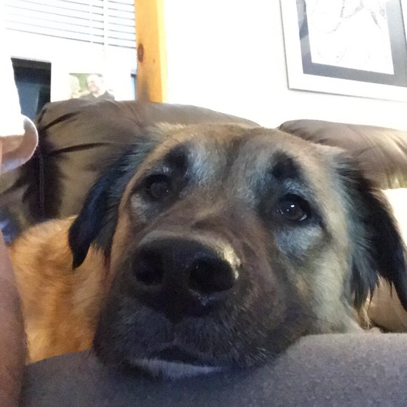 Profile Picture of Eric Felsteb (@mets1827) on Poshmark