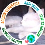 Profile Picture of Charles Ballenger (@Charles-Ballenger) on Facebook