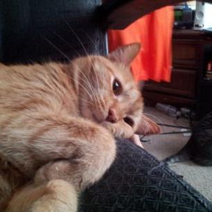 Profile Picture of Alexander Gandara (@AlexanderGanda6) on Twitter