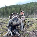 Profile Picture of Forrest Plumlee (@4restplumlee) on Instagram