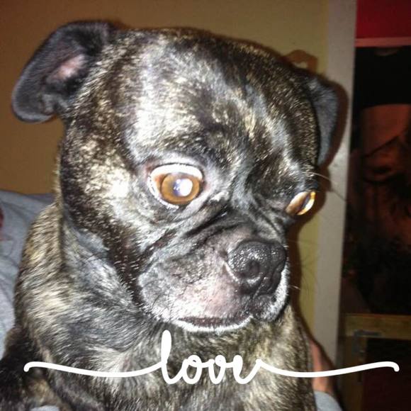 Profile Picture of Amy Omlor (@amos_surveyor) on Poshmark