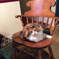 Profile Picture of Jeff Troub (@jefftroub) on Pinterest