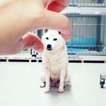 プチクラブ - Instagram Profile Picture of プチクラブ (@puchiclub) on Instagram