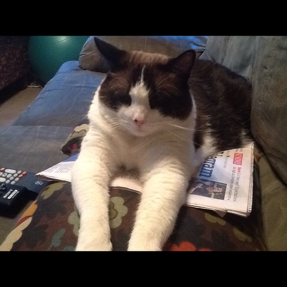 Glenna Cleworth - Poshmark Profile Picture of Glenna Cleworth (@glennacleworth) on Poshmark