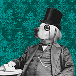 Profile Picture of Alice Hall (@alice_hall15) on Flickr