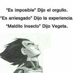 Profile Picture of Omar Lezama (@omar.lezama.3726) on Instagram