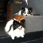 Profile Picture of Larry Feinberg (@feinberg_larry) on Instagram