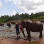 Profile Picture of Robert Bierbaumer (@bierbaumerr) on Instagram