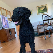 Profile Picture of Matheo Rogne (@MatheoRogne) on Youtube