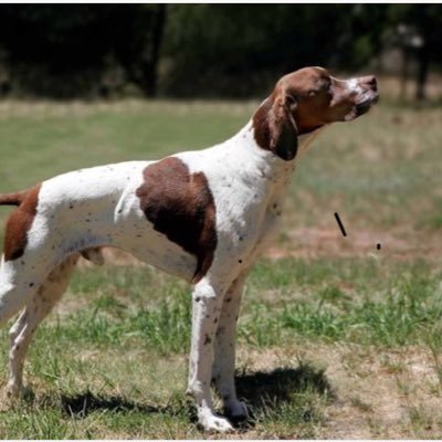 Profile Picture of Bob Dufresne (@mtnman03) on Twitter