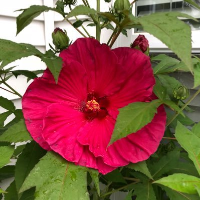 Profile Picture of Michael La Martina (@MichaelLaMart10) on Twitter