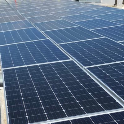 Profile Picture of Steven Gianotti (@SteveGianotti) on Twitter