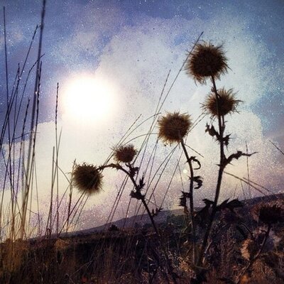 Profile Picture of Sung Stephen (@SungStephen720) on Twitter