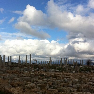 Profile Picture of Tariq Ibrahim (@tariqueue) on Twitter