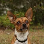 Profile Picture of Floyd Abbott (@floyd.abbott.96) on Facebook