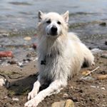 Profile Picture of Floyd (@floyd.story) on Instagram