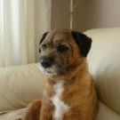 Profile Picture of Pauline Bavington (@baving) on Pinterest