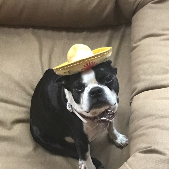 Profile Picture of Kristin Meredith (@krischris1117) on Poshmark