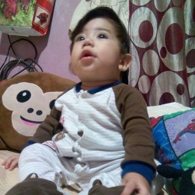 Profile Picture of Wilmer Guzman (@wilmerguzman051) on Twitter