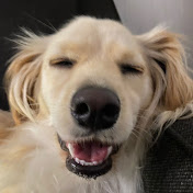 Profile Picture of Jared Hernandez (@jaredhernandez2527) on Youtube