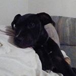 Profile Picture of Richard Maxson (@richardmaxson28) on Instagram