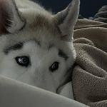 Profile Picture of Melissa Fowler Birchfield (@melissa.fowler.birchfield) on Instagram