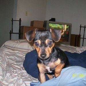 Profile Picture of Timothy Hight (@272641146) on Myspace